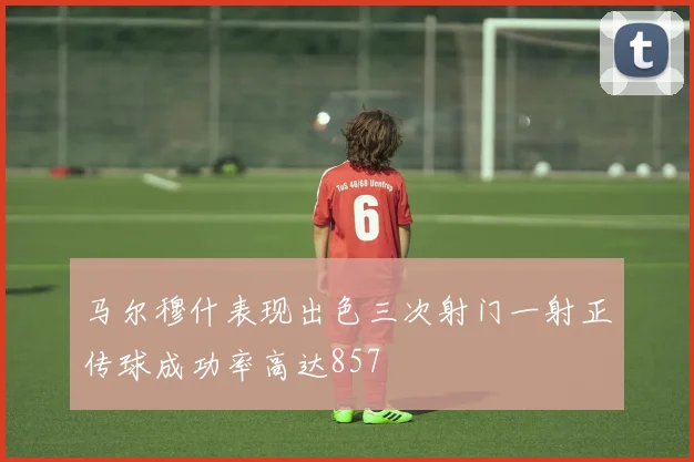 马尔穆什表现出色三次射门一射正传球成功率高达857